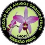 7ª Exposição Nacional de Orquídeas de Ribeirão Preto - CAORP 2018